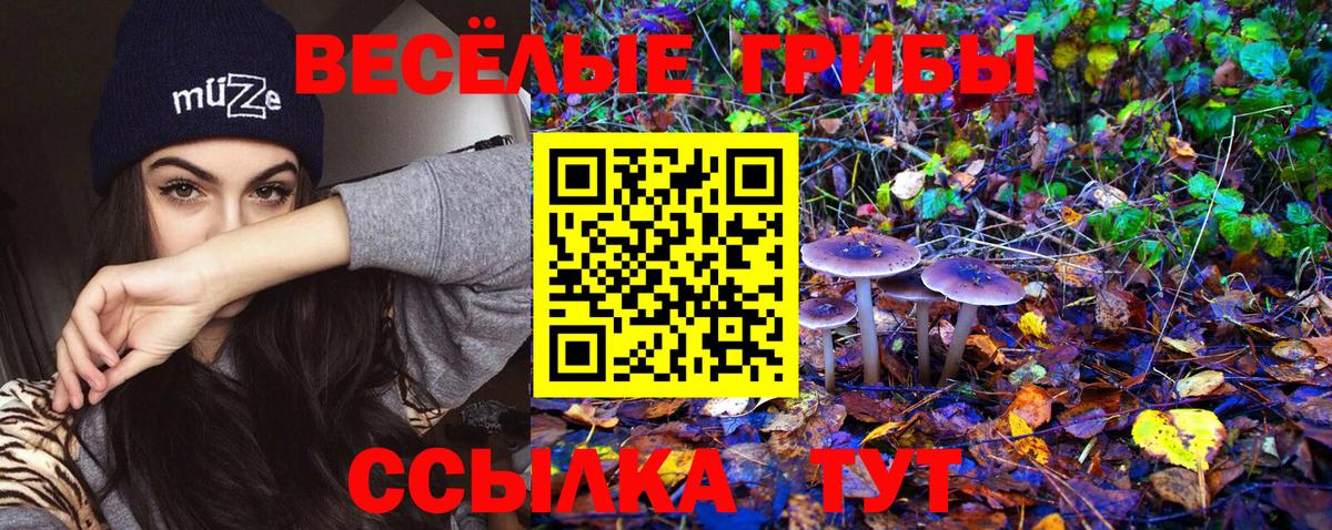 Галлюциногенные грибы Magic Shrooms Минеральные Воды