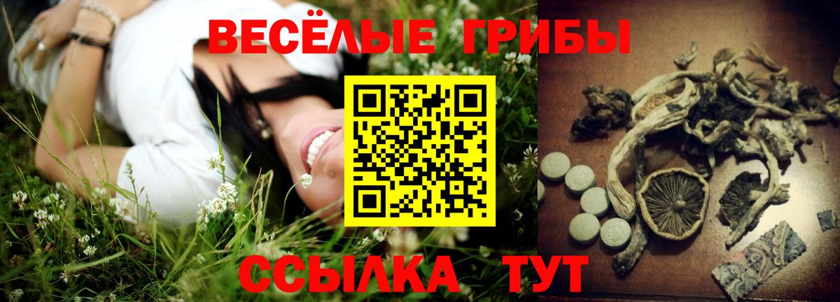 Минеральные Воды  Псилоцибиновые грибы ЛСД  Вход с VPN 